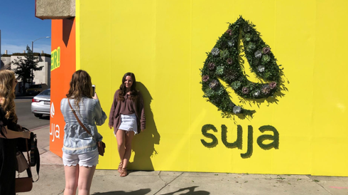 Suja_Image_Break_living_wall_Small_6.png