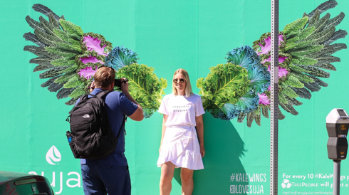 Suja_Image_Break_living_wall_Small_5.png