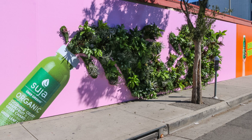 Suja_Image_Break_living_wall_Small_3.png