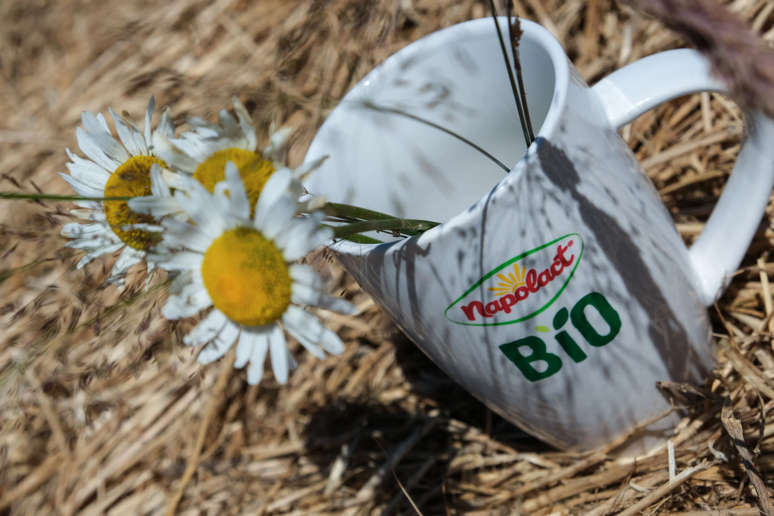 napolact dairy product photography raul stef.jpg