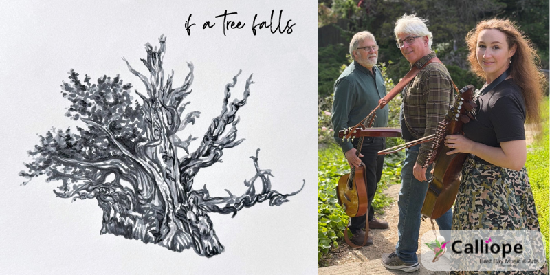 If A Tree Falls