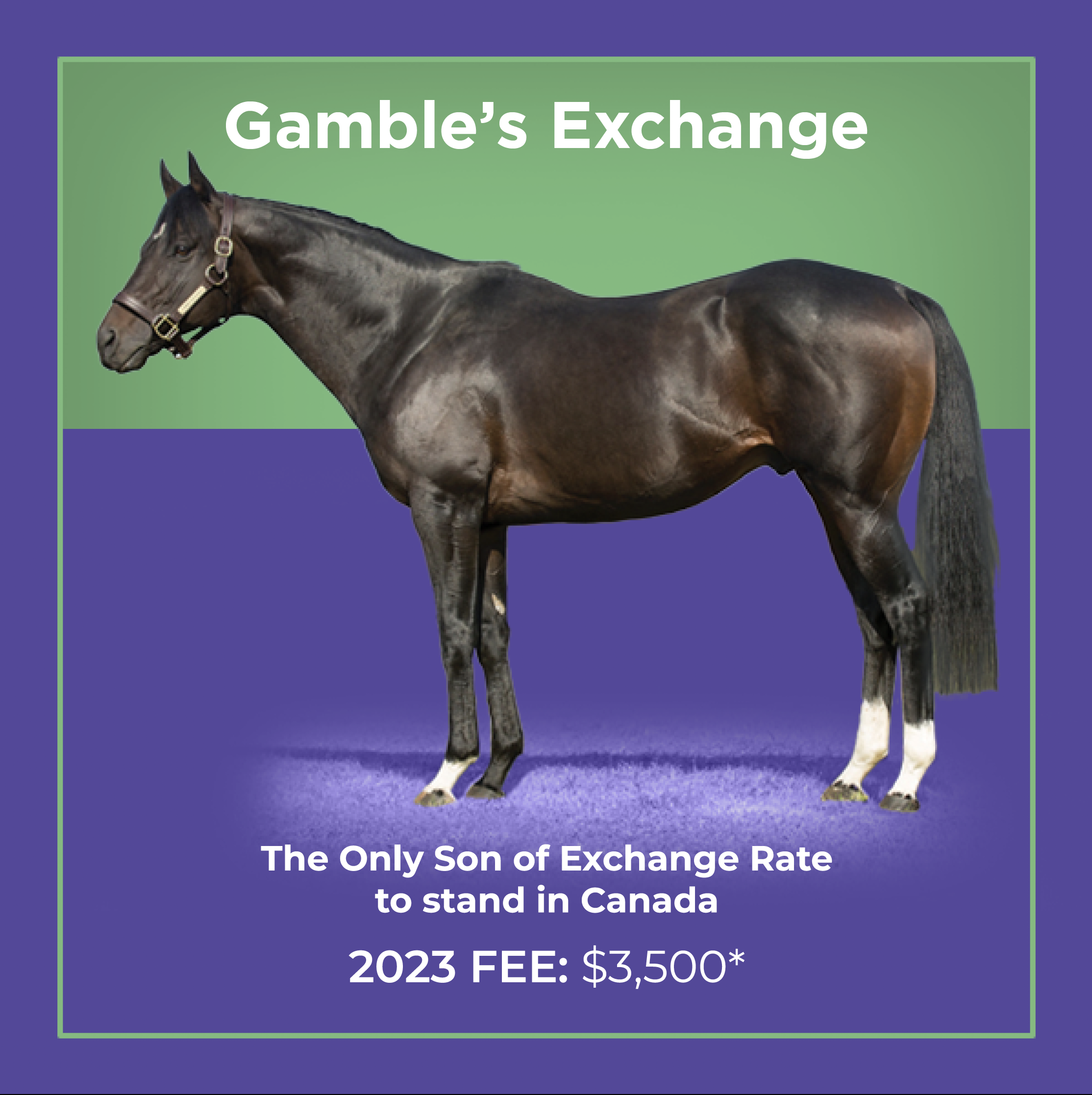 Screen Shot 2023-11-04 at 7.16.31 PM.png