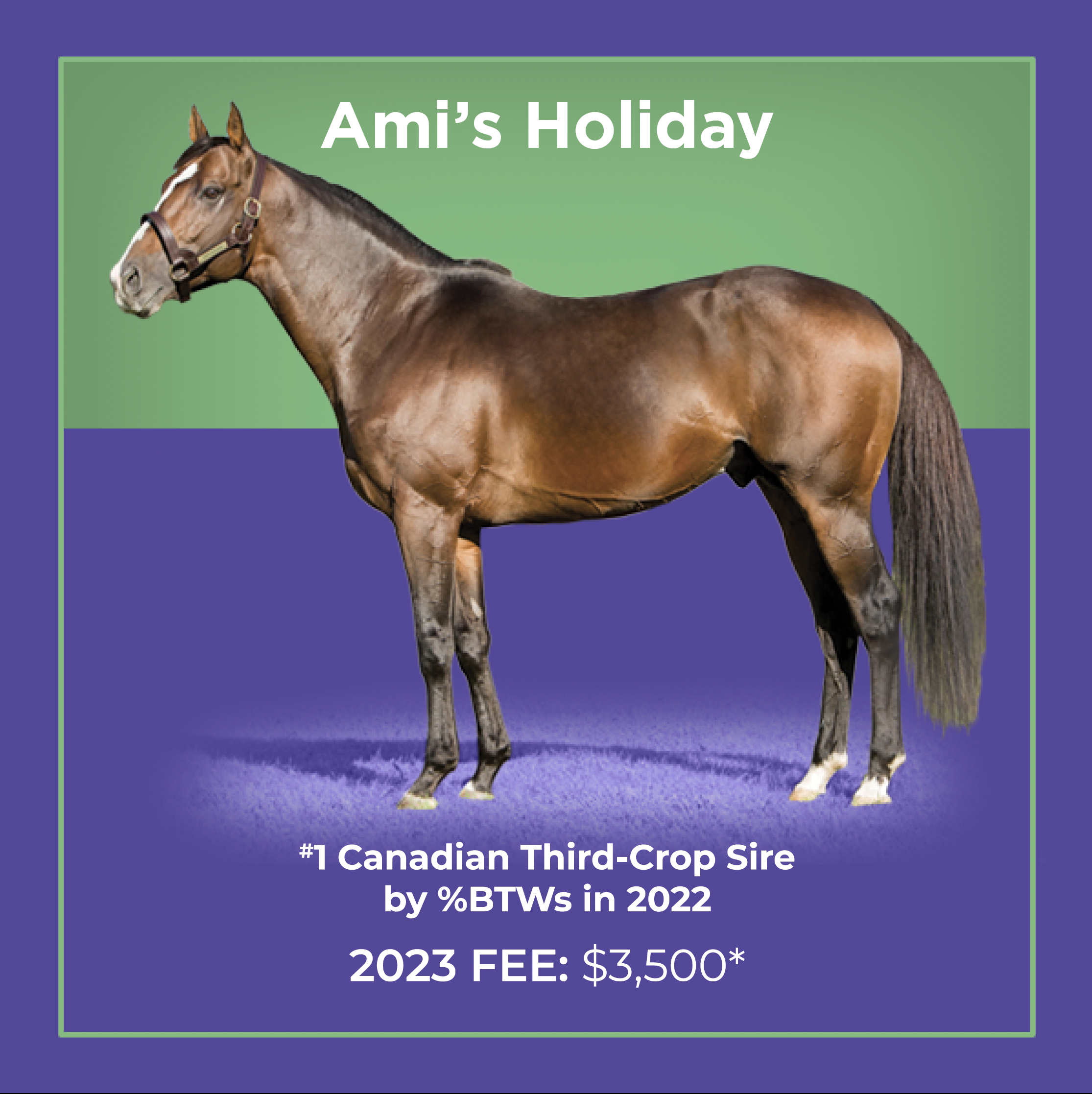 Screen Shot 2023-11-04 at 7.16.17 PM.png