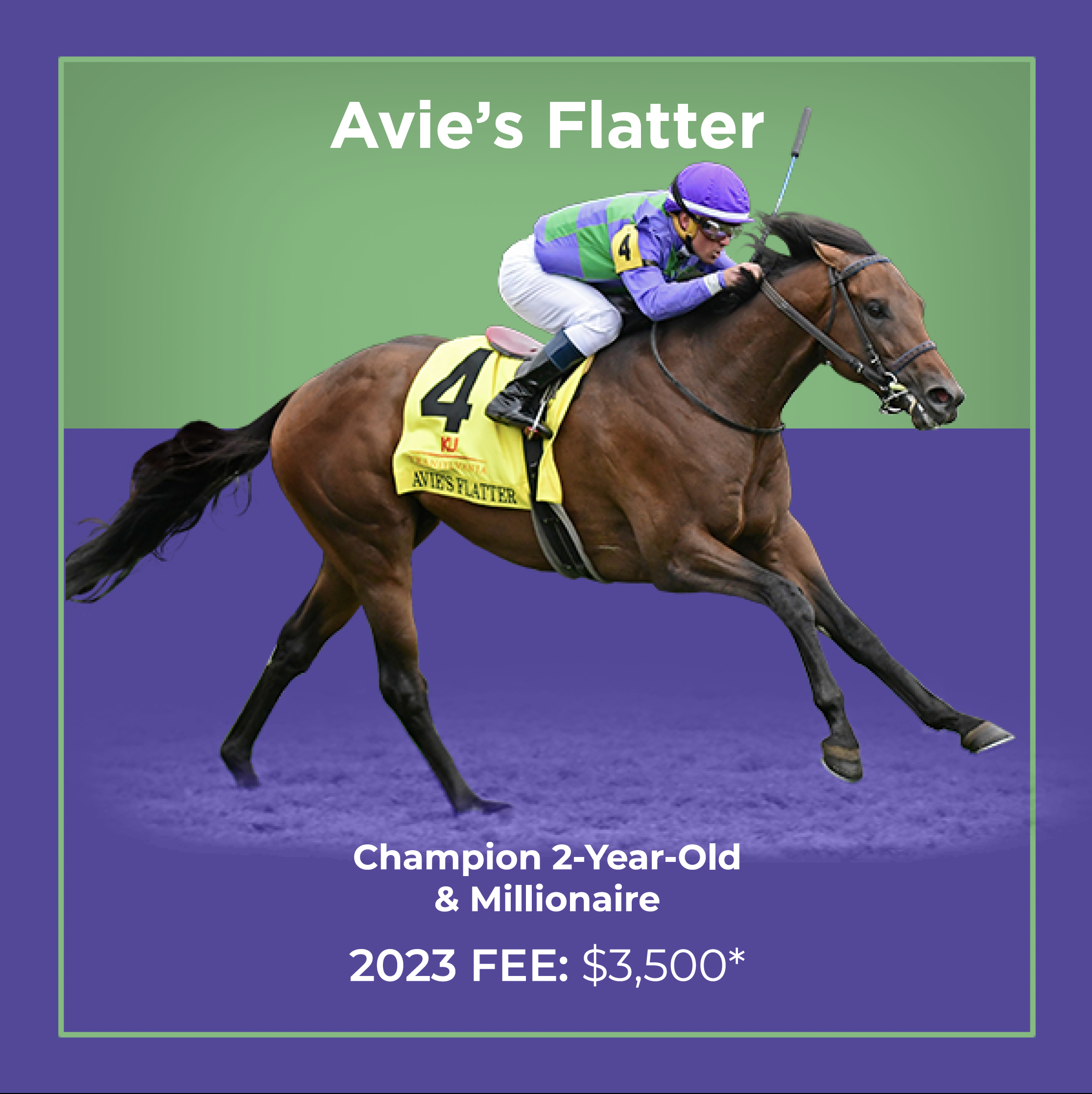 Screen Shot 2023-11-04 at 7.15.50 PM.png