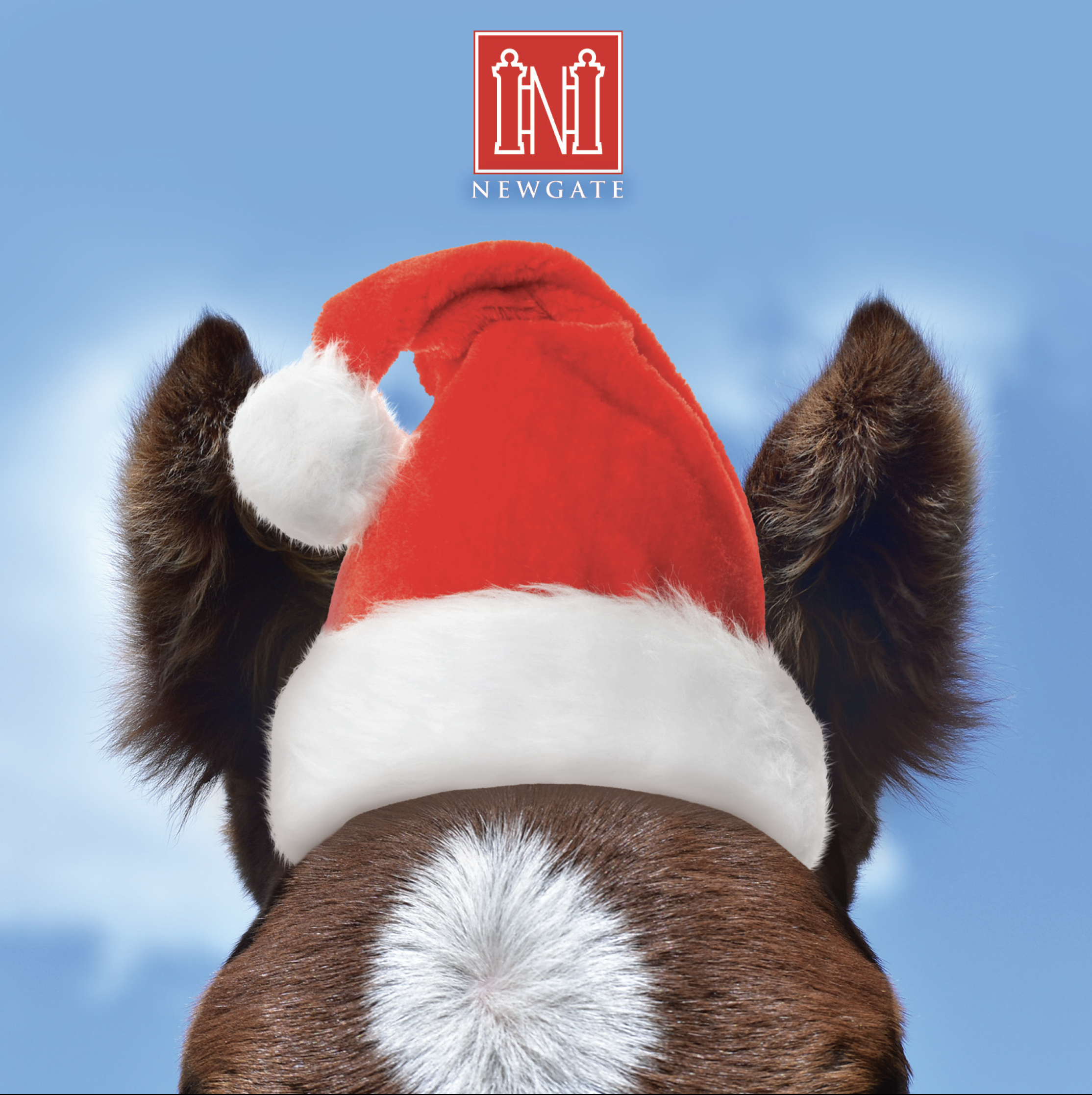 Screen Shot 2023-11-04 at 7.20.22 PM.png