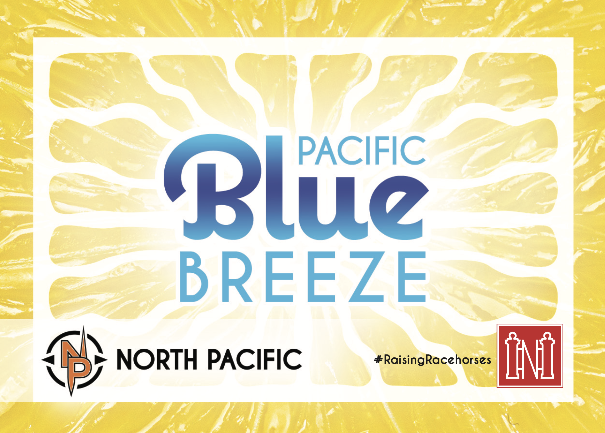 Screen Shot 2024-01-19 at 3.57.31 PM.png