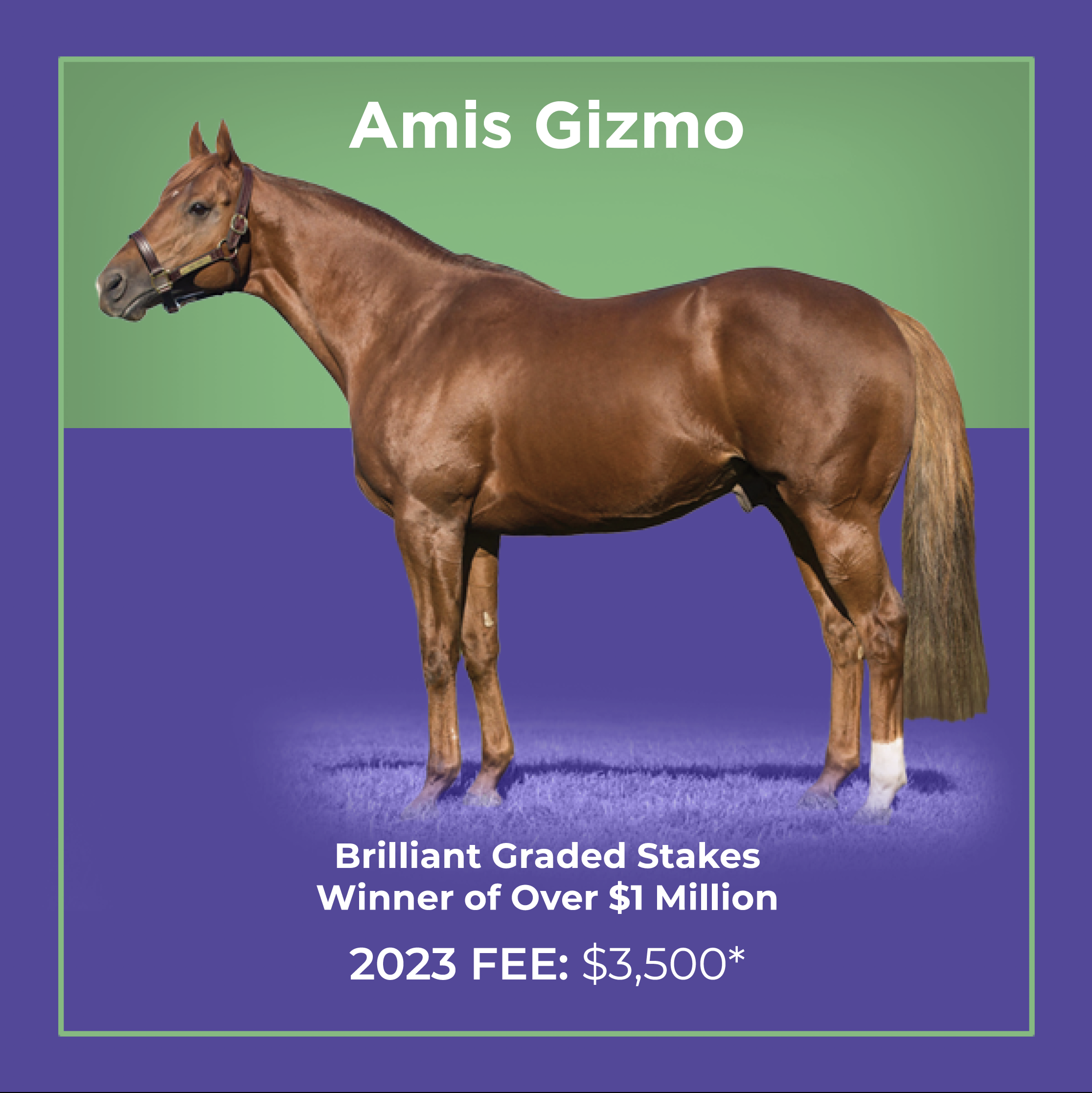 Screen Shot 2023-11-04 at 7.16.03 PM.png