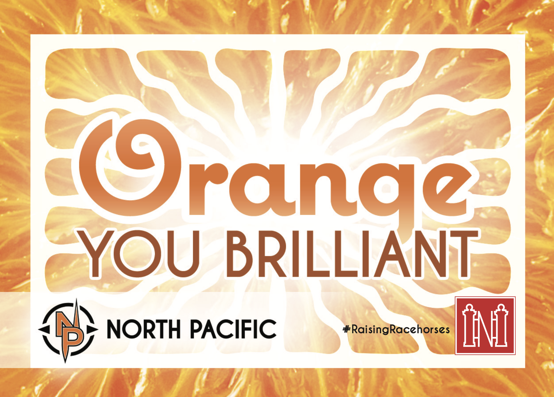 Screen Shot 2024-01-19 at 3.57.11 PM.png