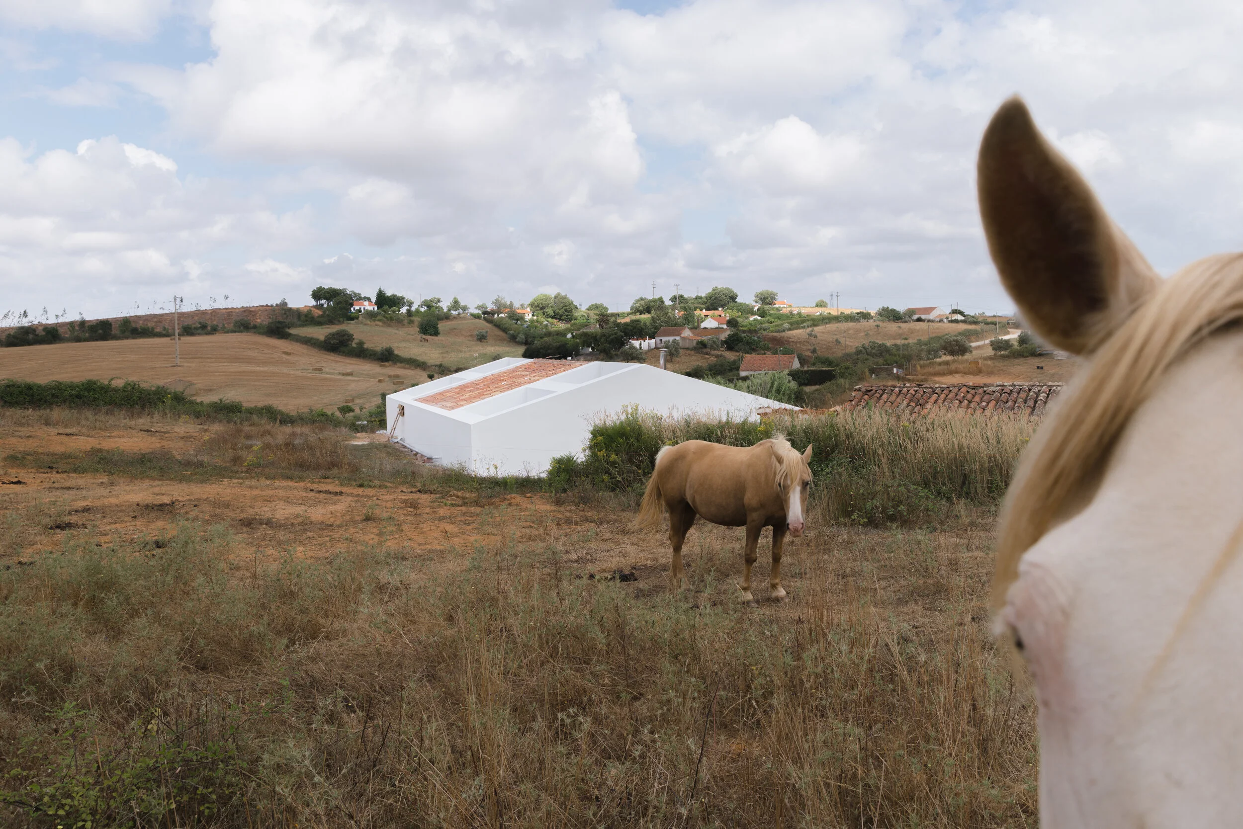 Atelier Data_Cercal Construction_Richard John Seymour-005.jpg