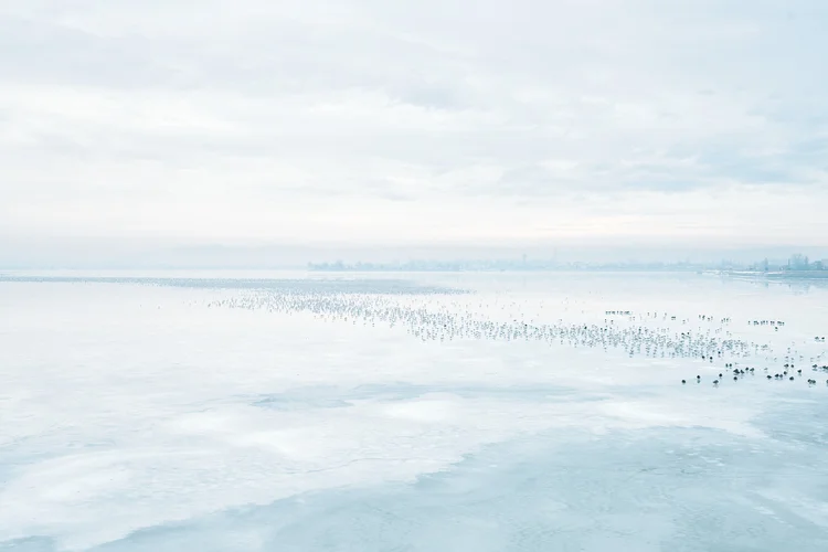 44°27'03.1N 26°02'12.6”E — Lacul Morii, Romania