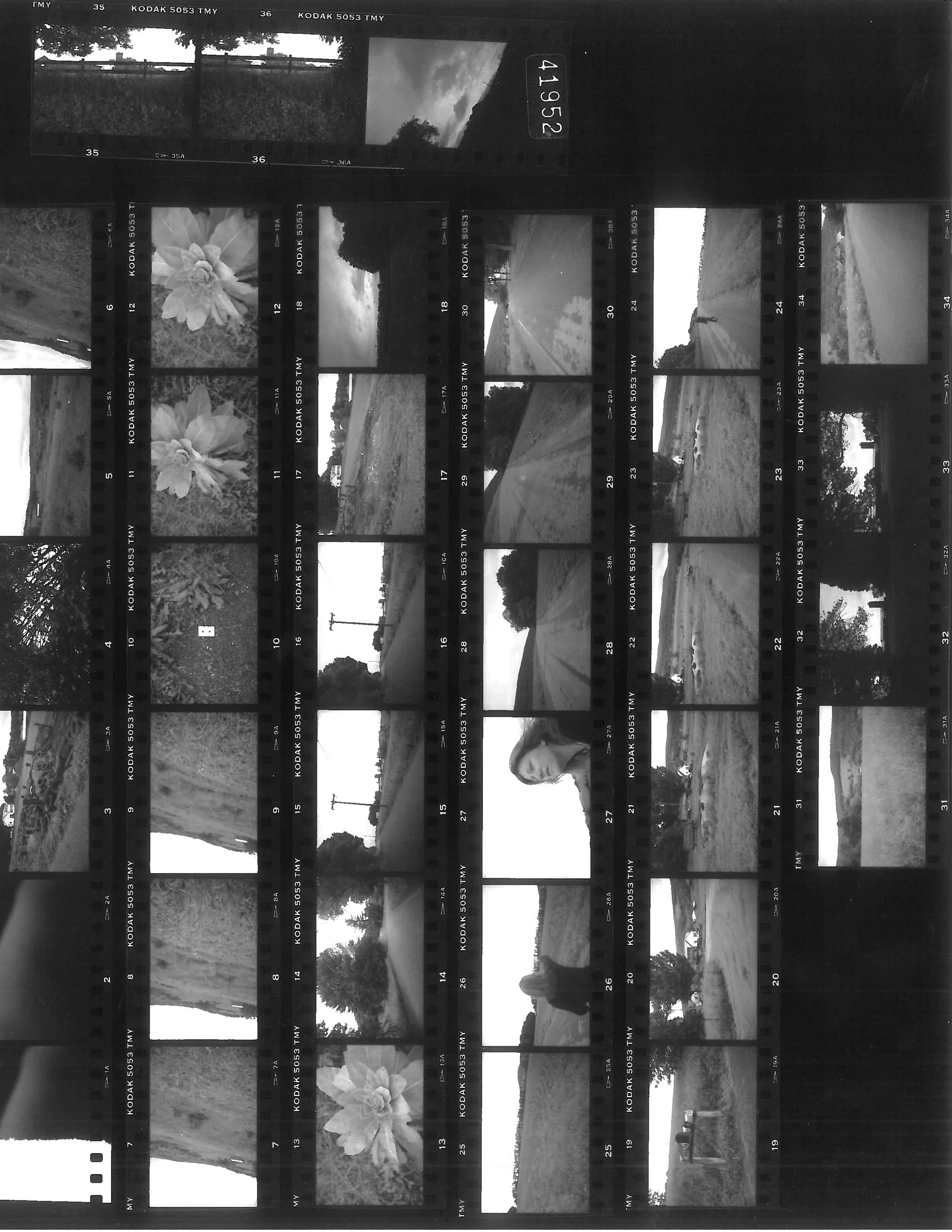 AD_1998_NewYork_F120_Sheet41952.jpg