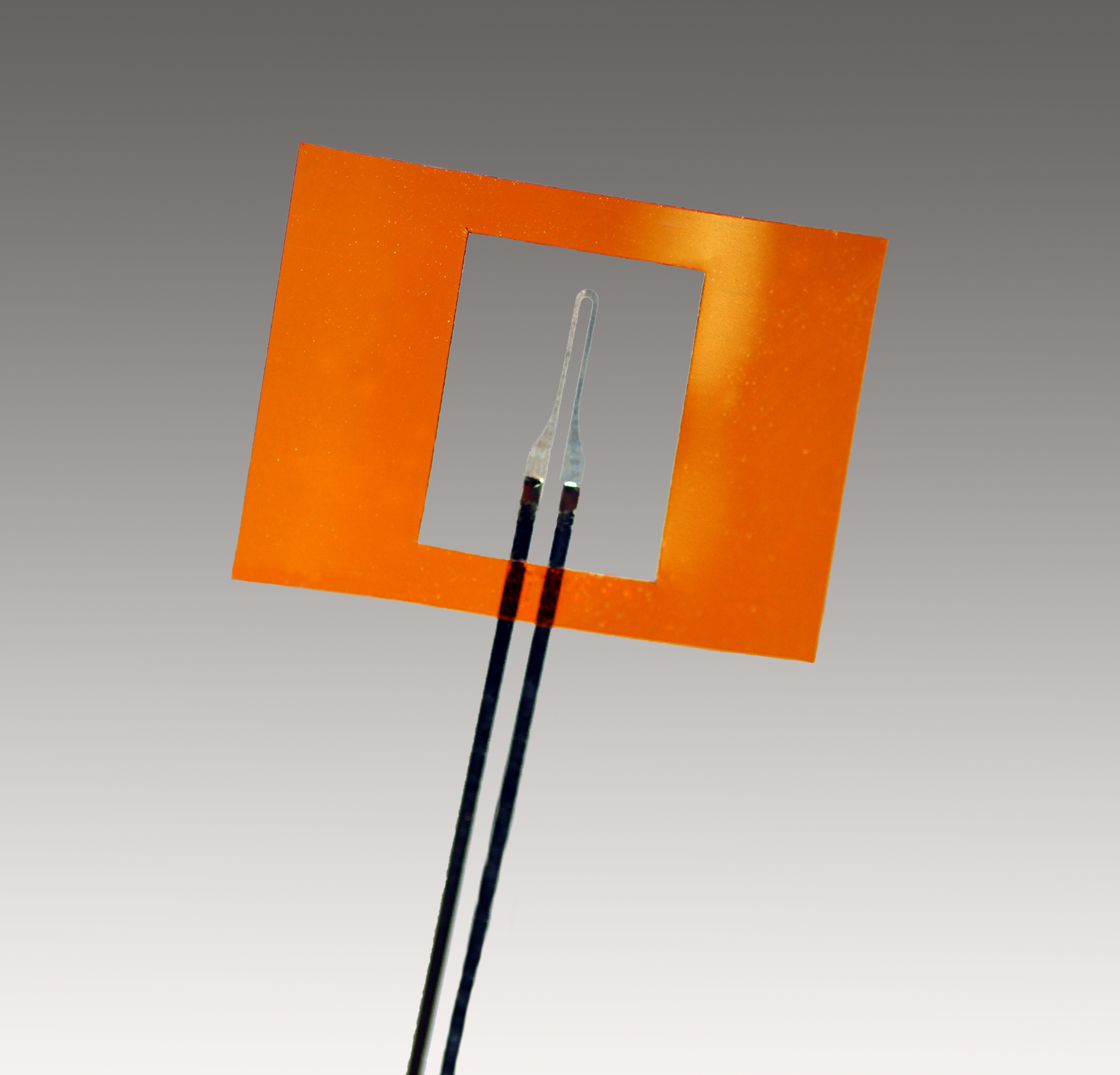 20100-2_Edited_3.png