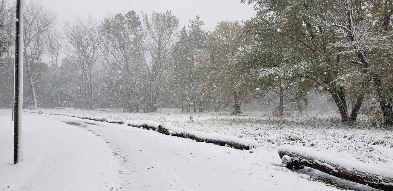 spring bay winter.JPG