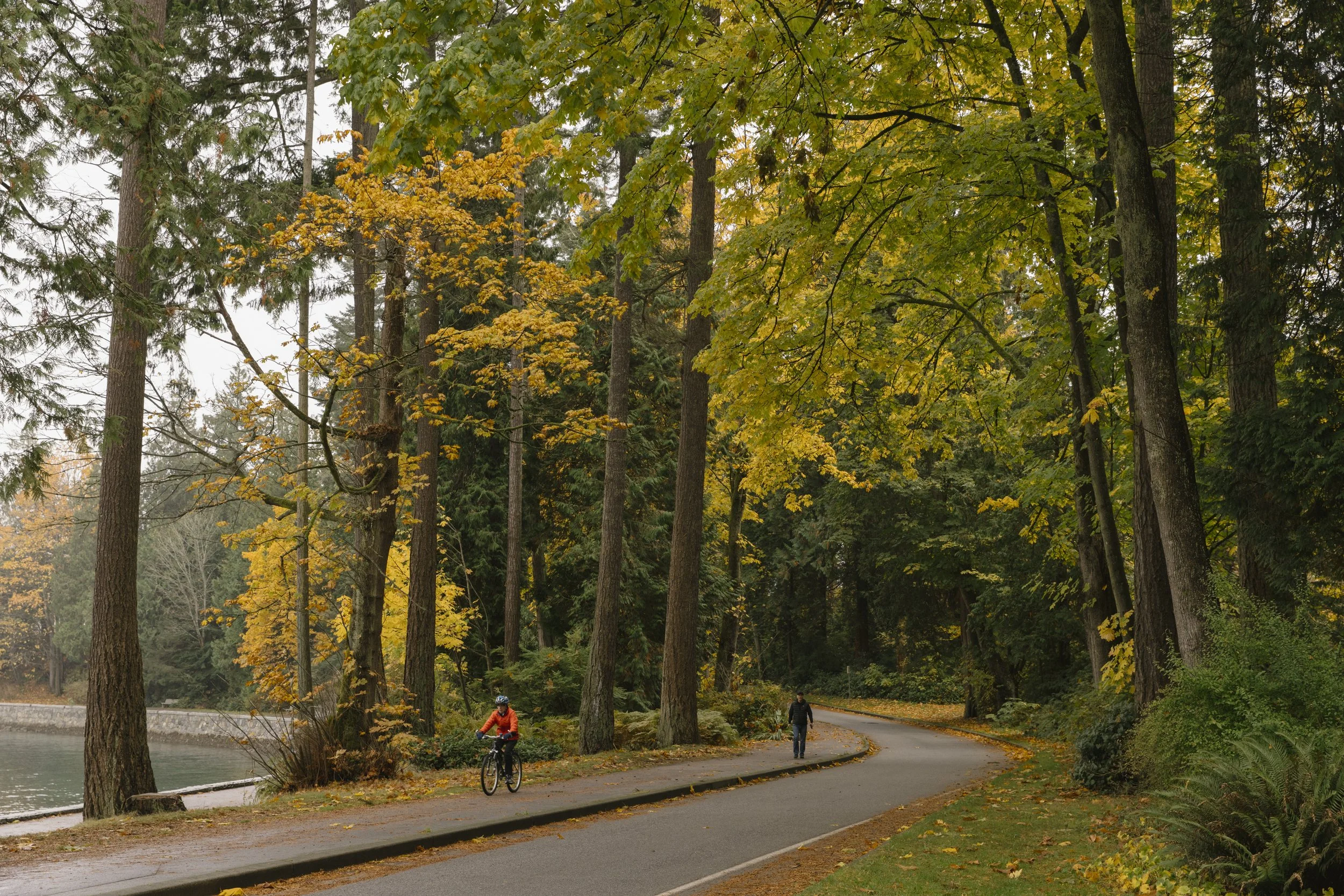 A cyclist rides their bike in Vancouver's Stanley Park during the Fall