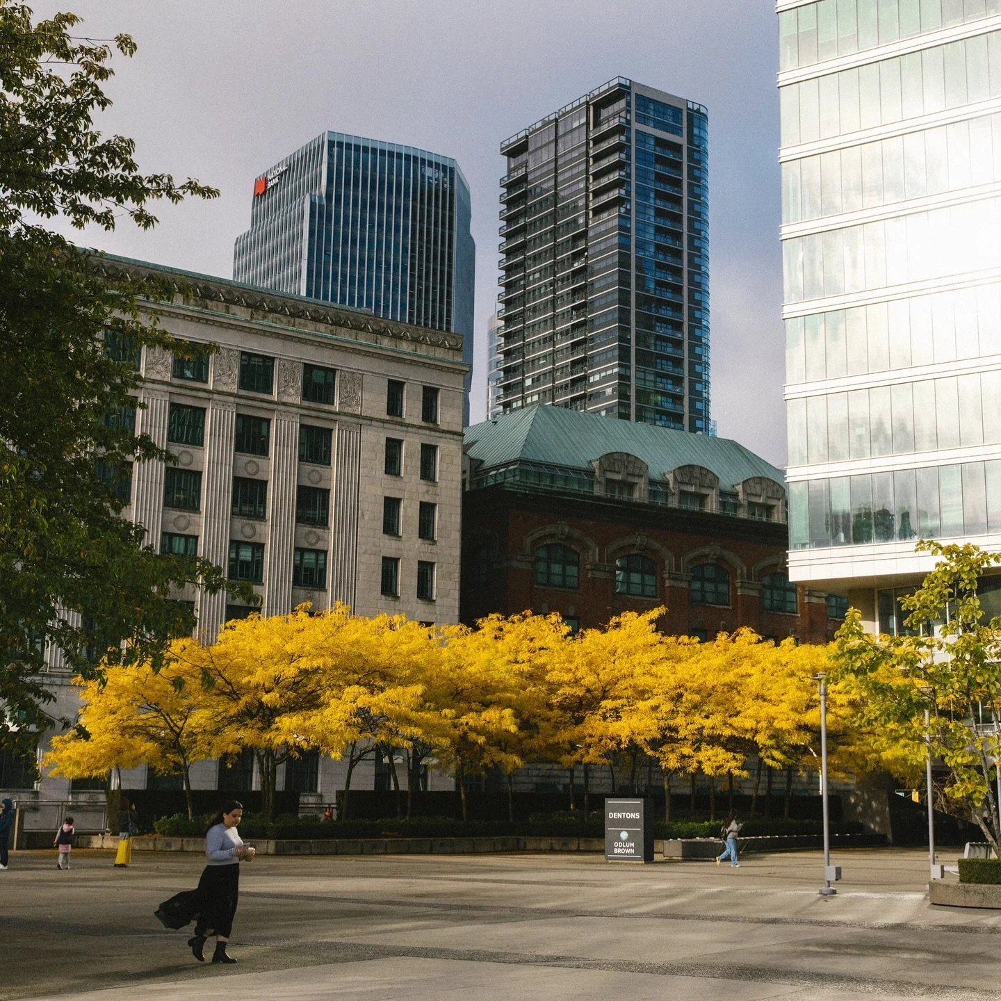 Neil and I used to hang out in this park for lunch when I worked downtown in 2010, but this was the first year that I saw the trees on fire 🍂🔥