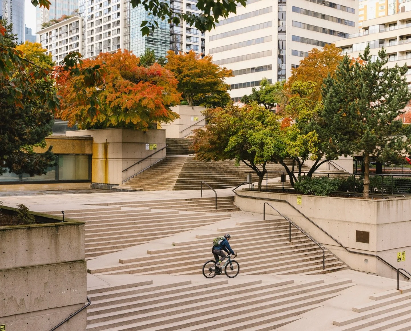 After all the years I&rsquo;ve said I want to take photos of fall in Vancouver, all it took was someone else asking me for a test shoot to finally get it done 🤦&zwj;♀️
Have you been out there lately? It&rsquo;s sooo beautiful right now 10/10 fall.