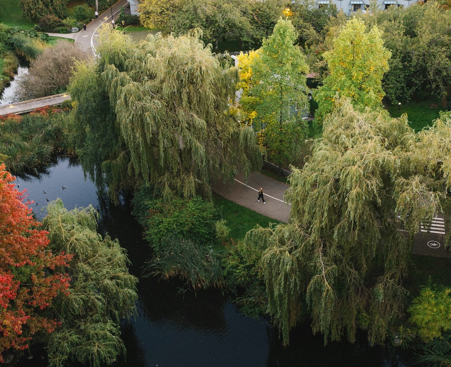 Another test shoot outtake from October 🍂