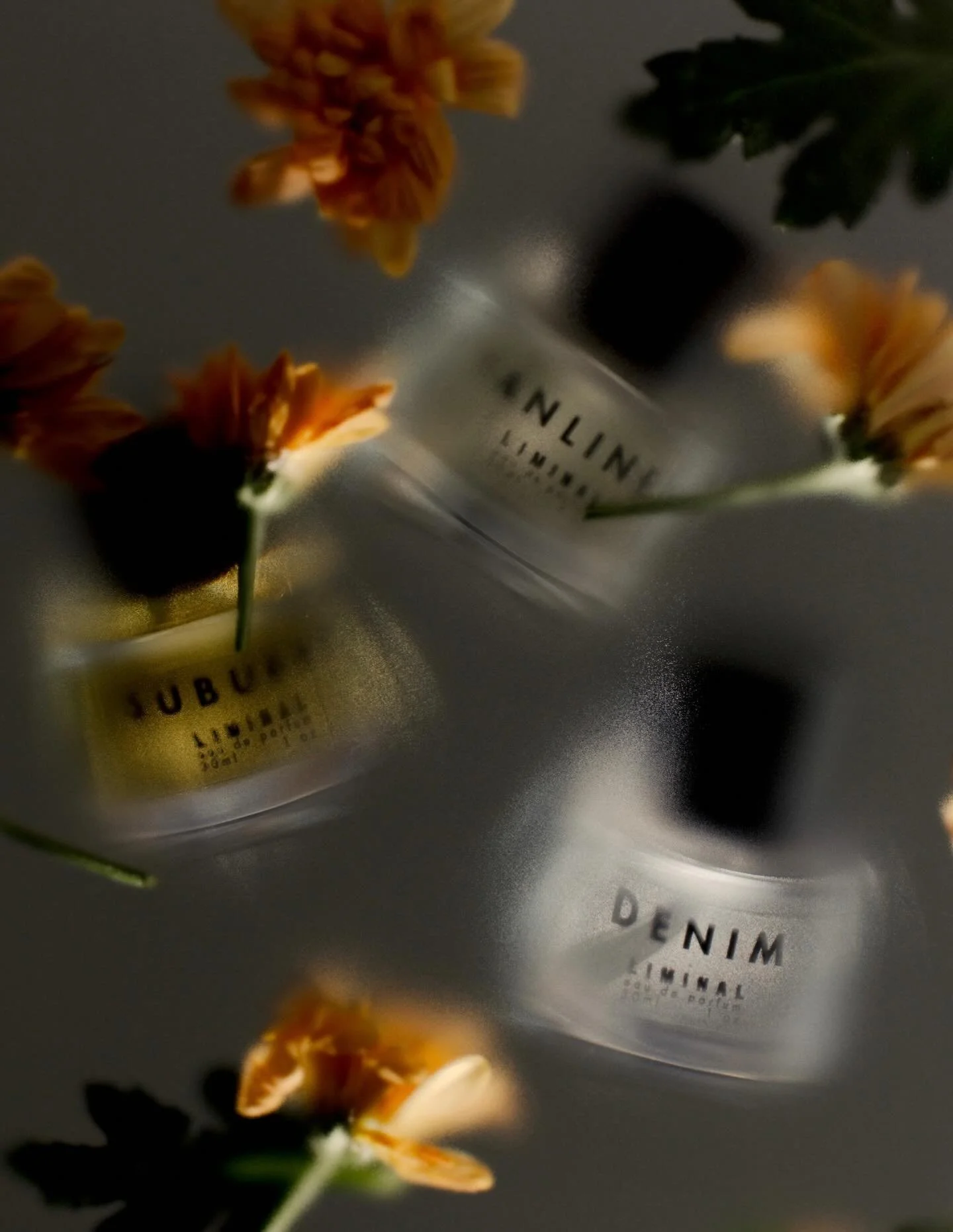 A few photos for @liminal.scent ⭐️