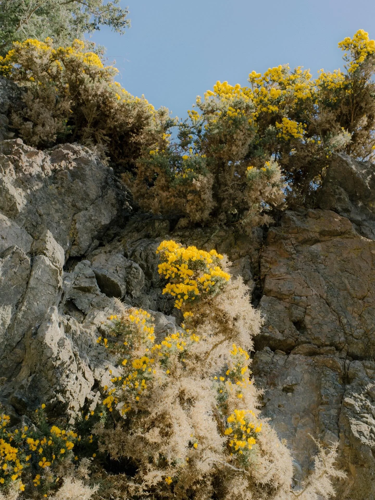 Pender Island Spring ☀️