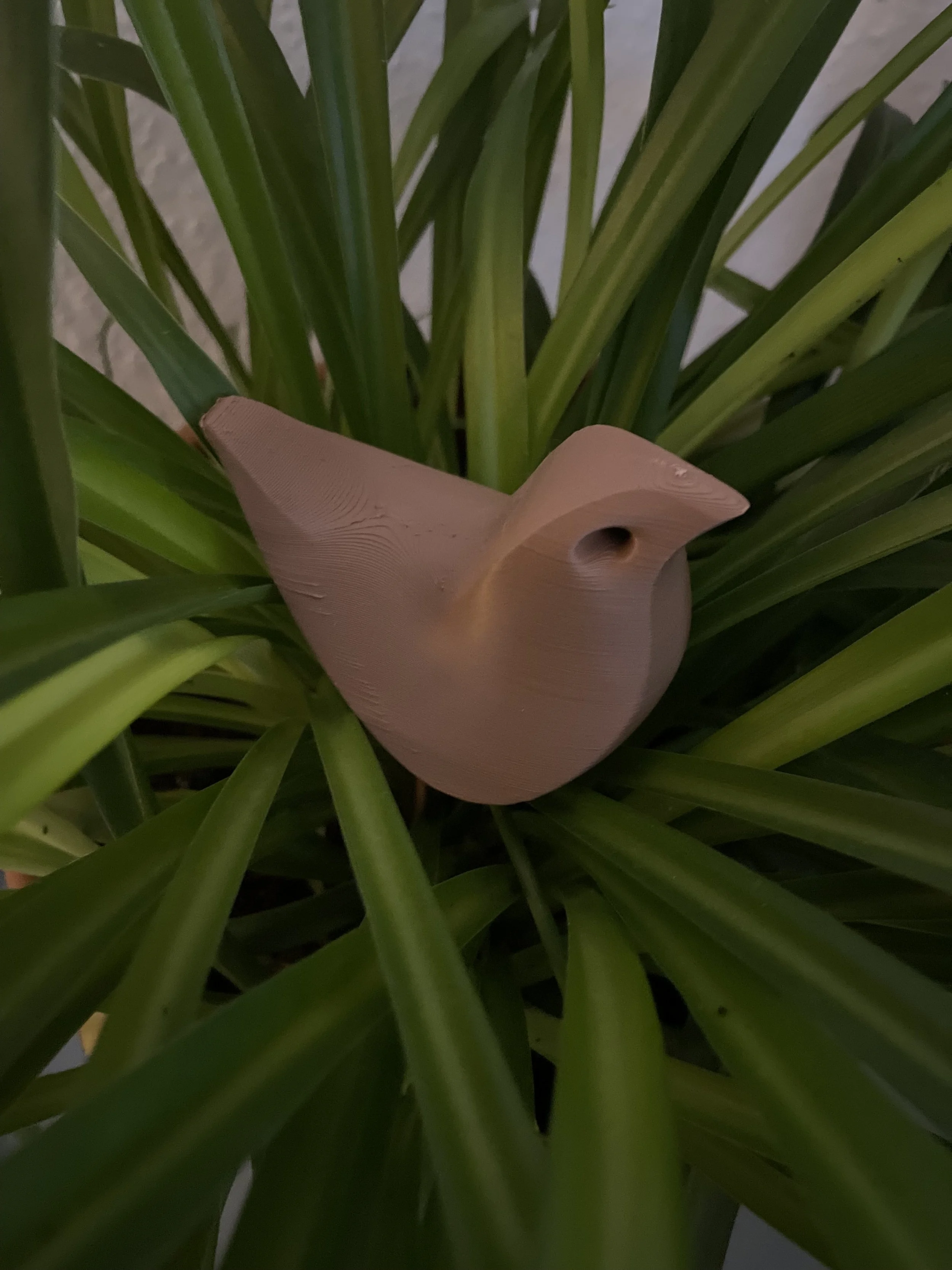 Uccello4.jpg