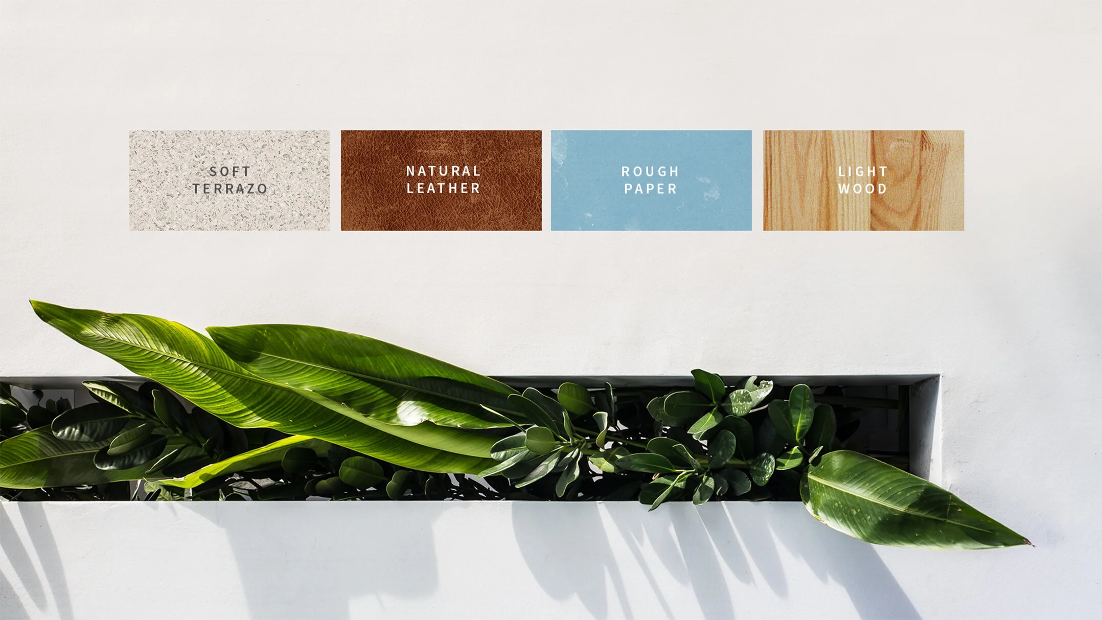 High Note — St Pete Branding Agency - Hype Group