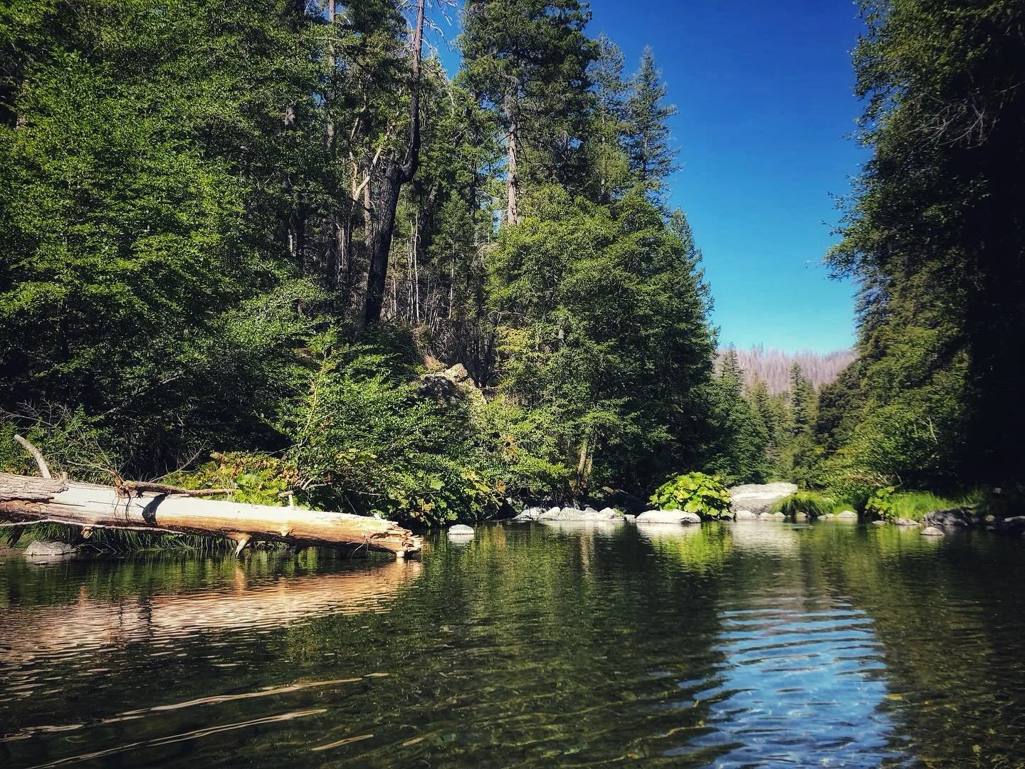 At my desk in Tennessee, remembering a hometown trip two summers ago with my sister and very best friend @holly.gj .

-Cabin Without Walls-

It was our home in the mountains 
It was our cabin without walls
Every bend in the river, I recall

The spott