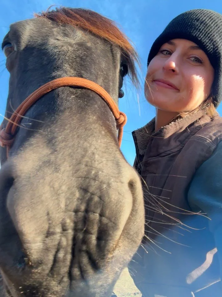 Settling in for winter 🤍