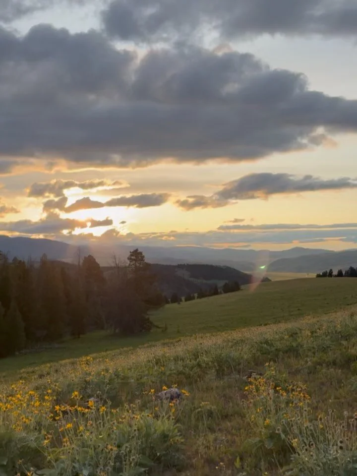 One week of Starpass! ✨ Sure hope you&rsquo;ve loved it.