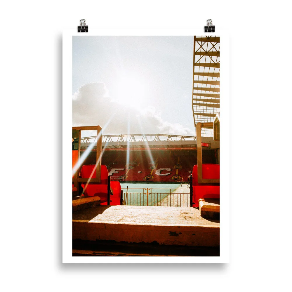 enhanced-matte-paper-poster-(cm)-50x70-cm-5fc8bf24302cb.jpg