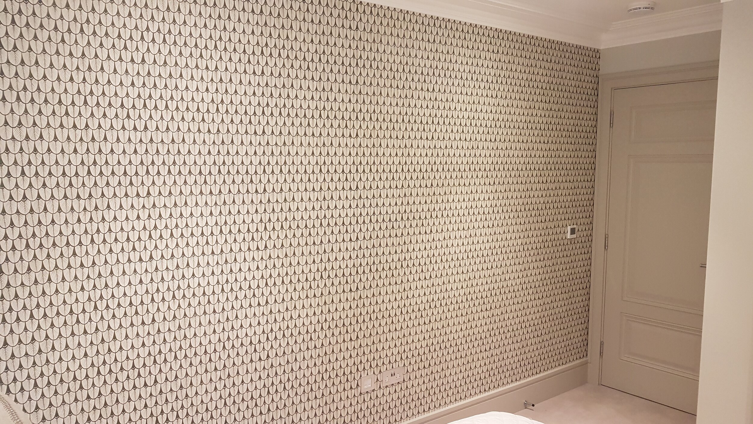 20181204_123514.jpg