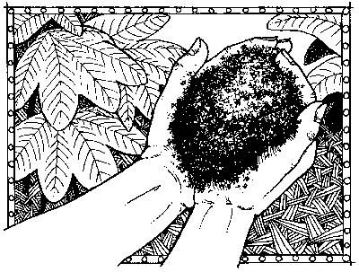 The Art of Composting