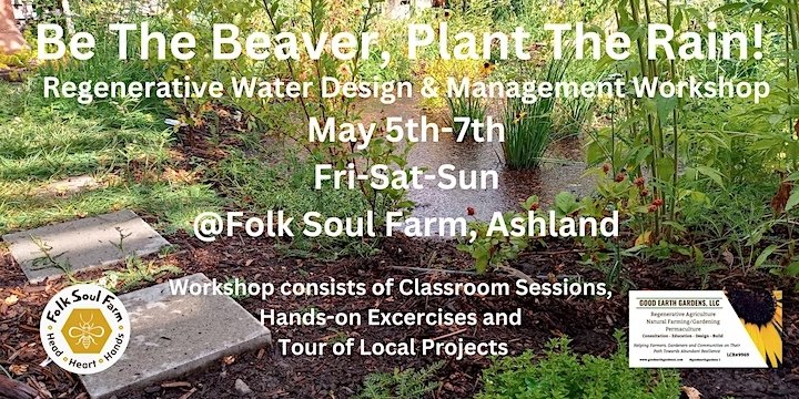 Be The Beaver, Plant The Rain!