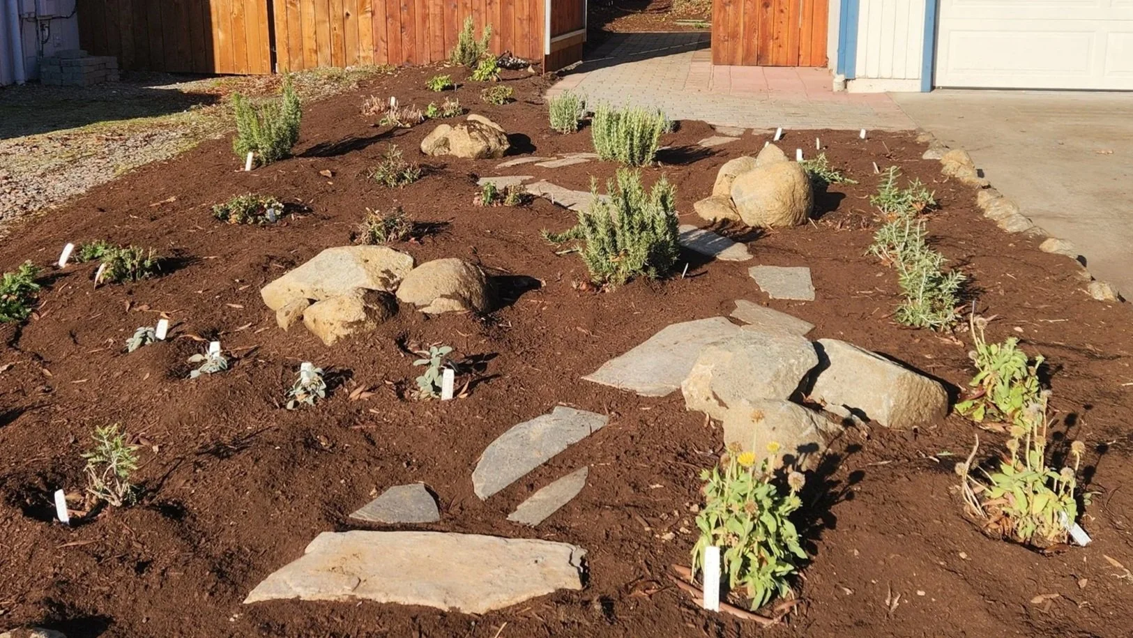 A newly landscaped herb garden bed with brown mulch, rocks, and young plants, bordered by a stone pathway, with a wooden fence and garage in the background.