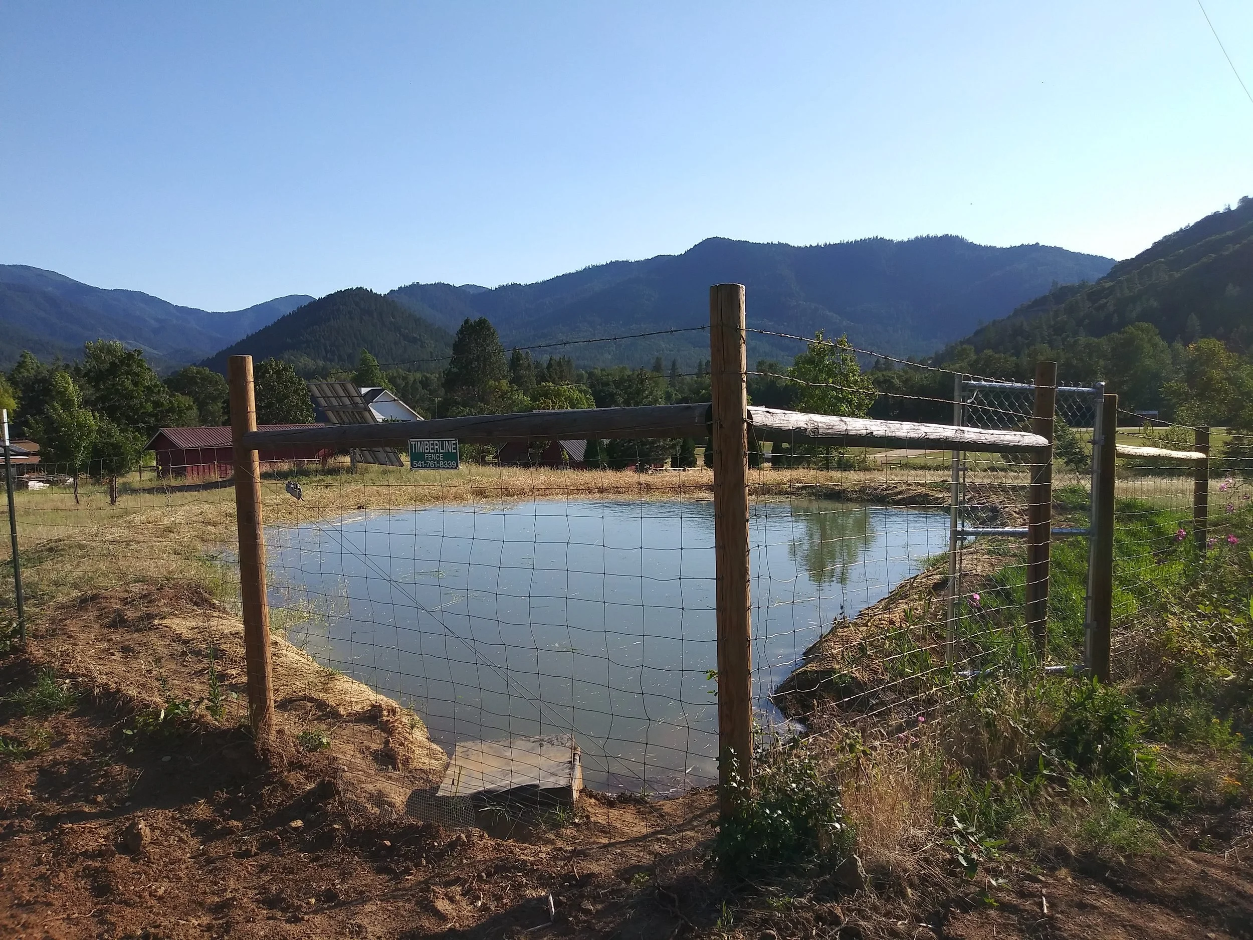 20200701_183249_HDR (1).jpg