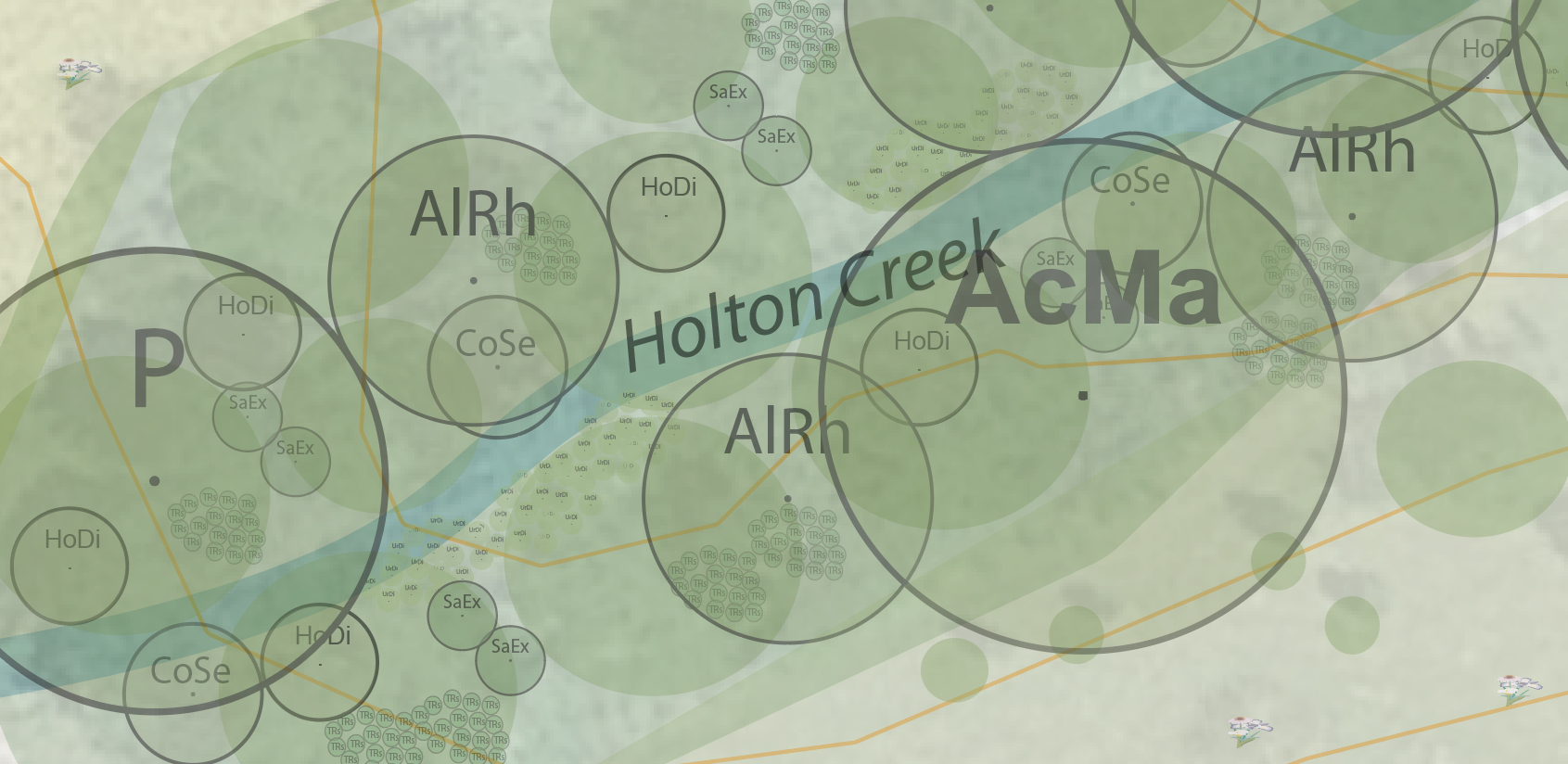 holton creek upclose.PNG