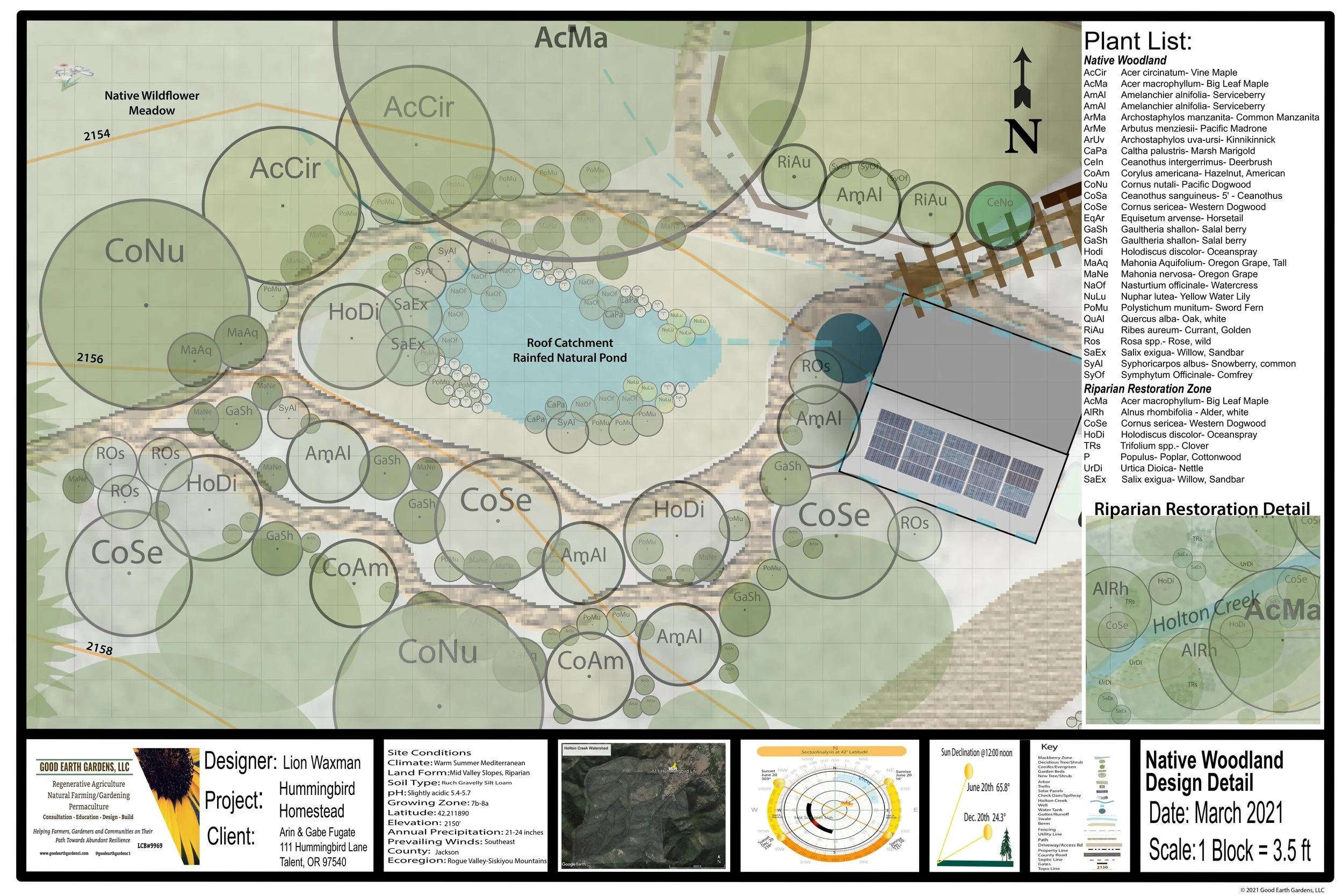 GEG Hummingbird Native Woodland Design Detail.jpg