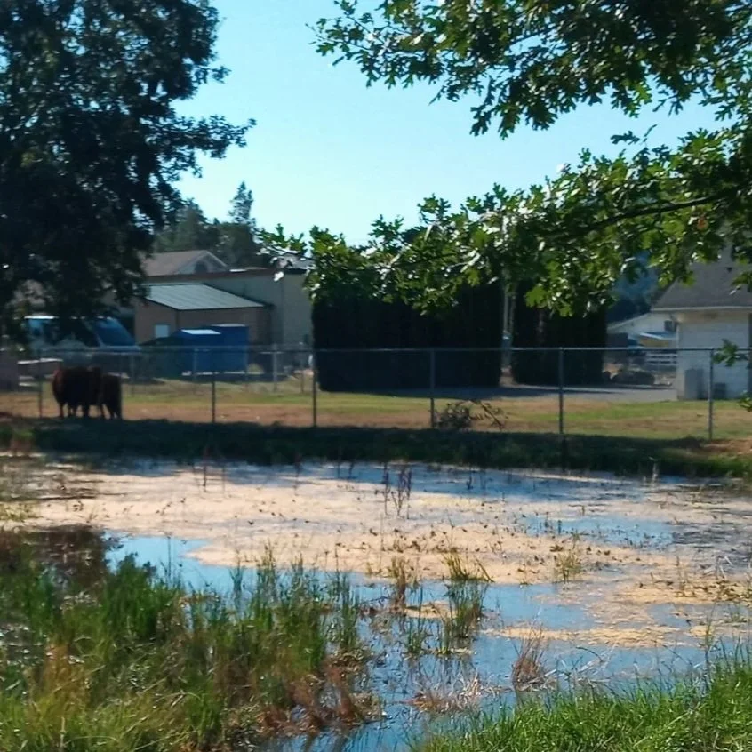 Regenerative Water Retention Earthworks
