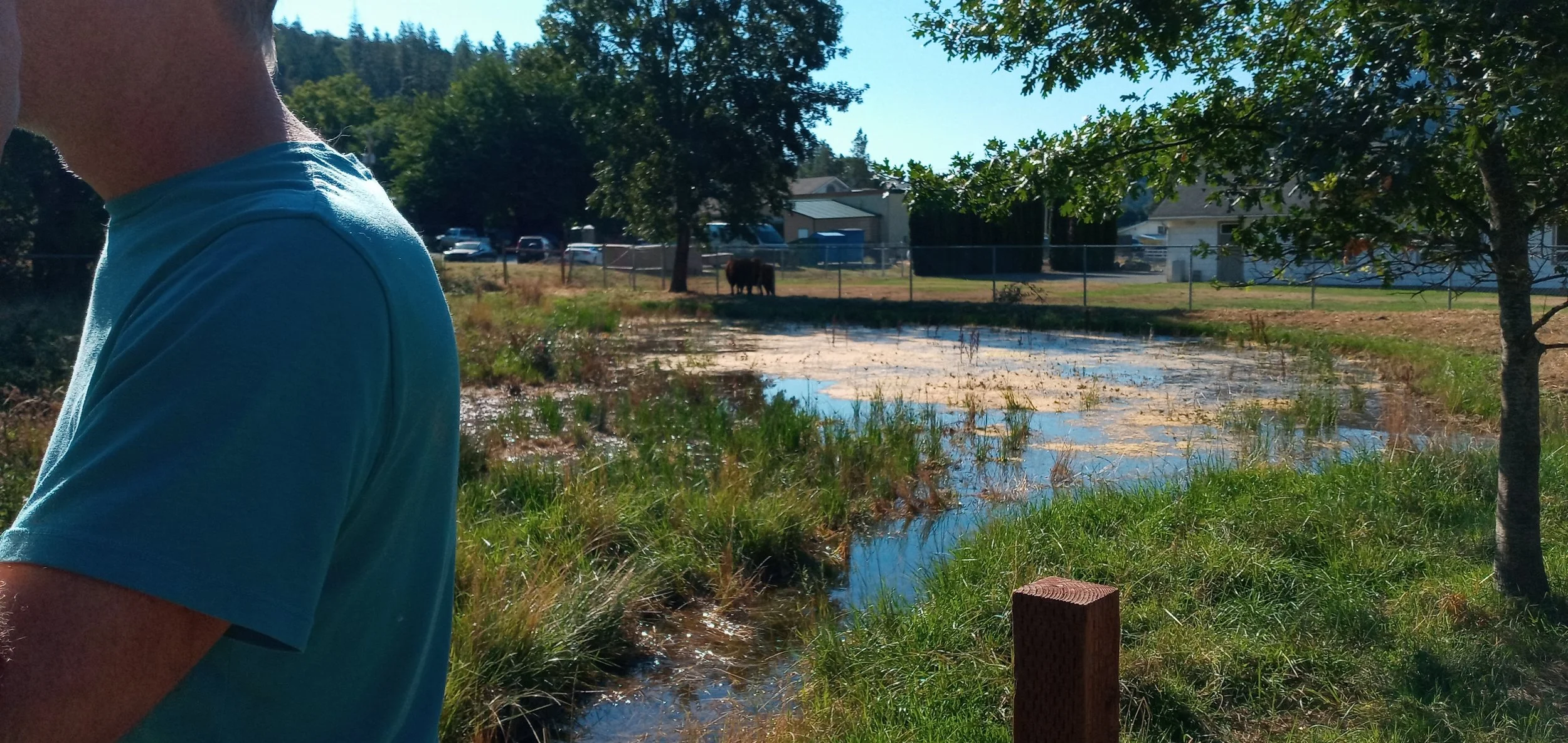 20220824_094112_HDR (1).jpg