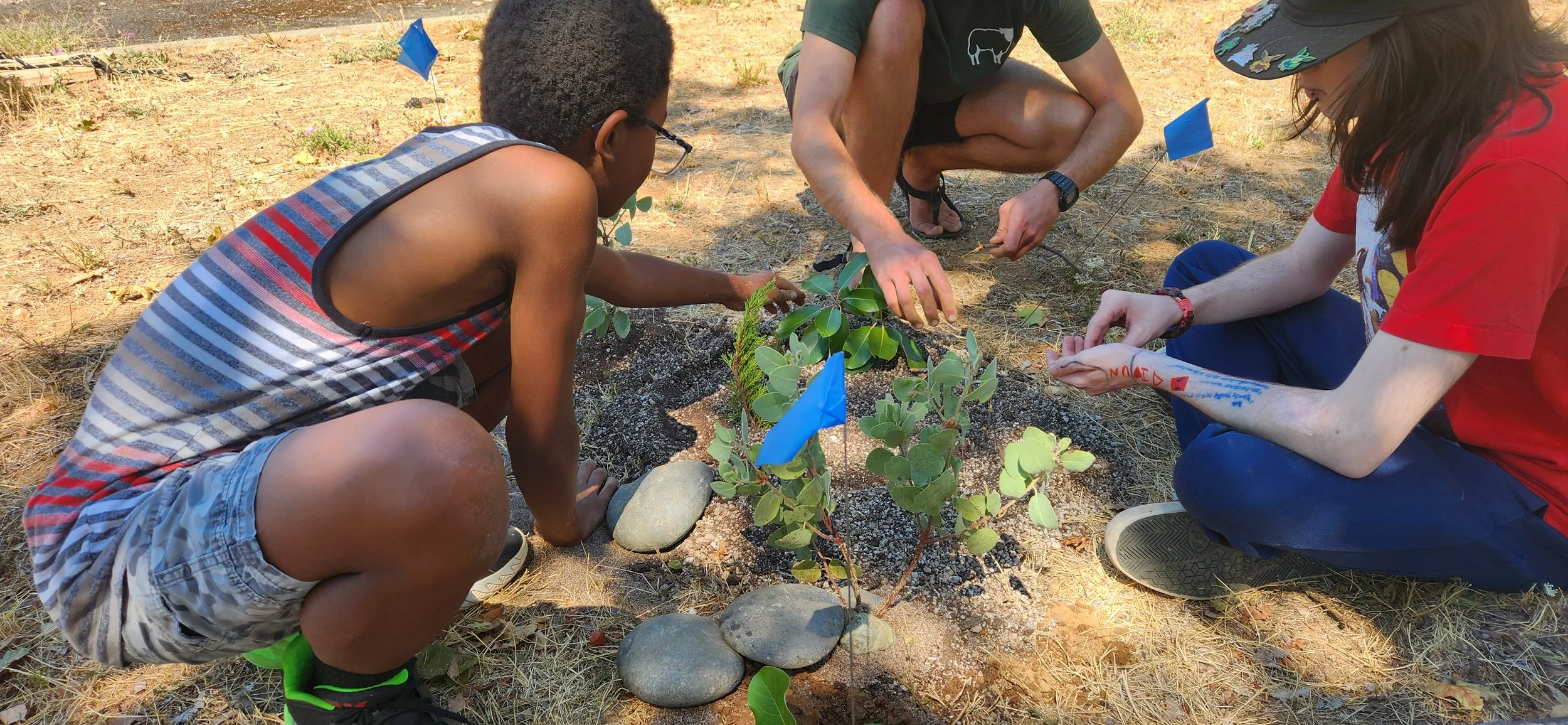 Students creating a a rain garden model outside