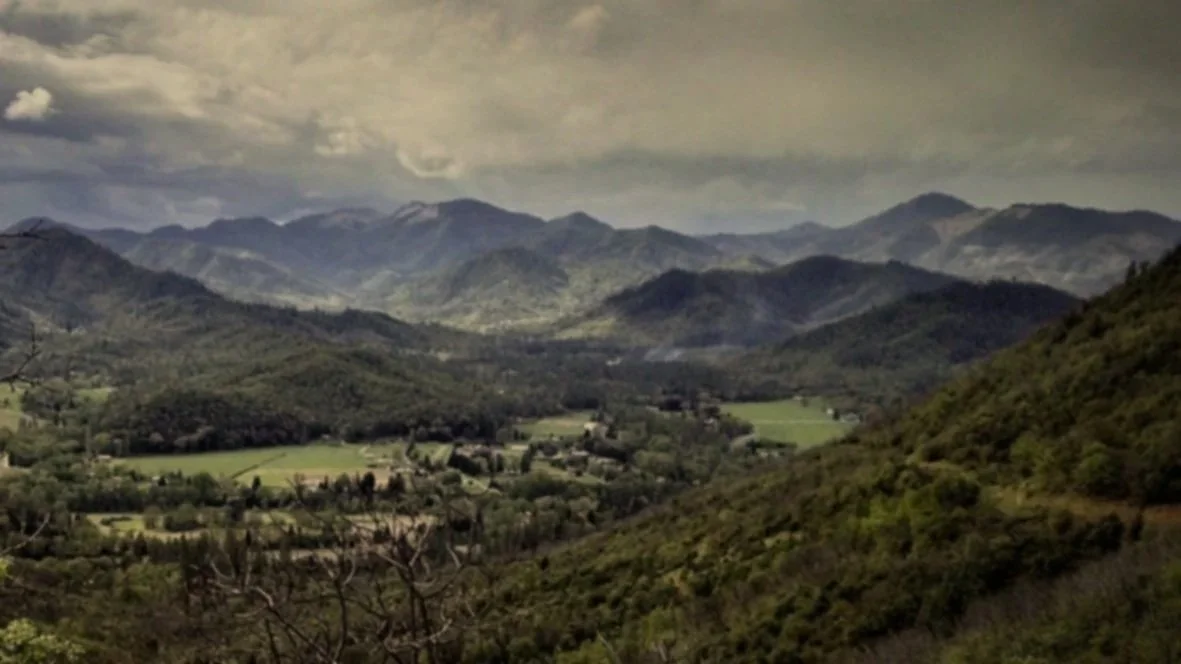 Forested Valley Southern Oregon