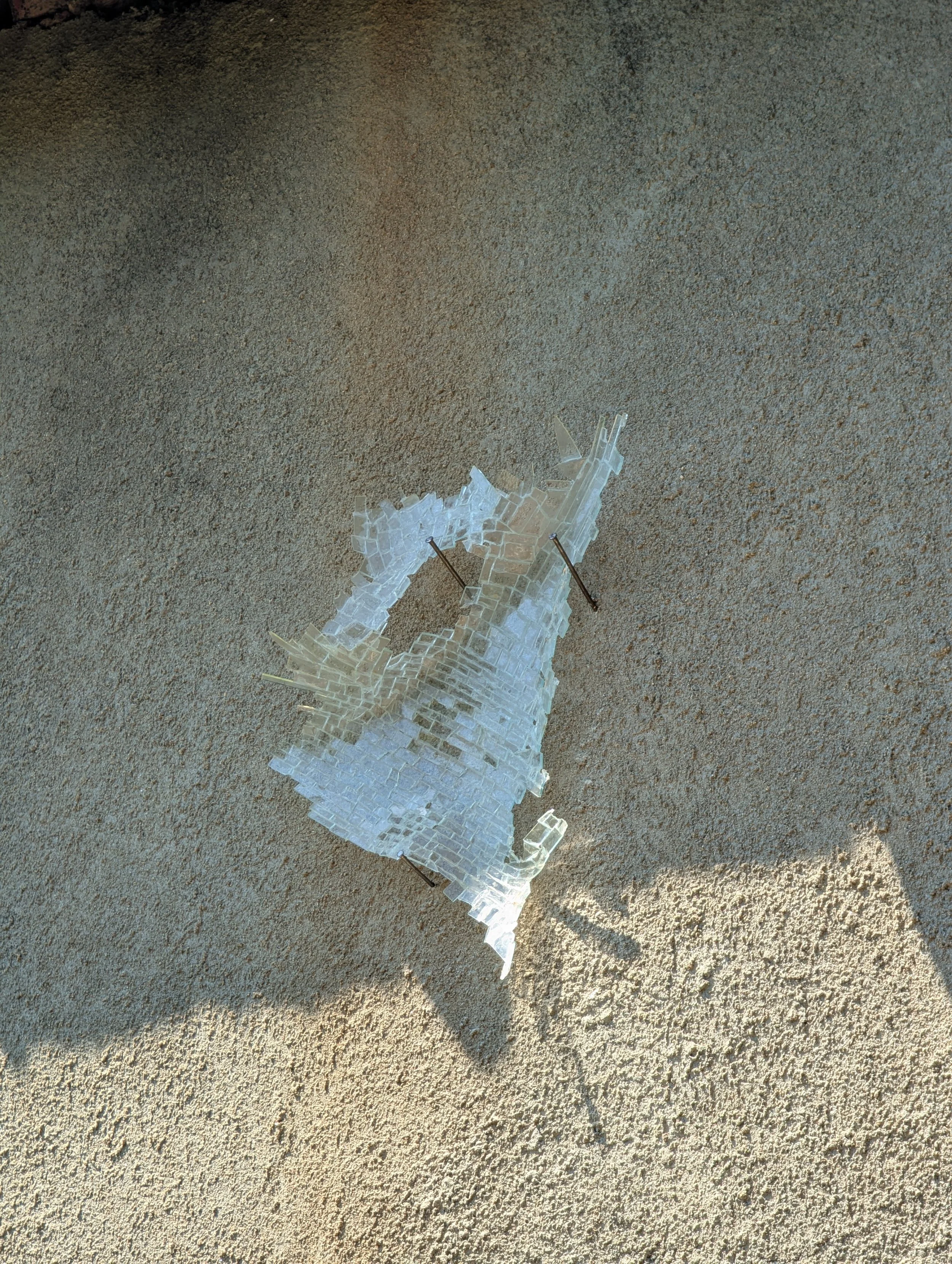 PXL_20260627_082828009.RAW-01.COVER.jpg
