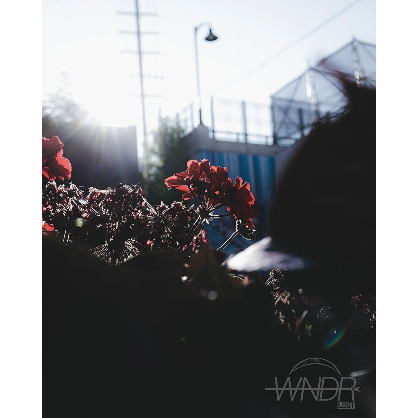 Walking outside labyrinthine over cracks along under the trees.