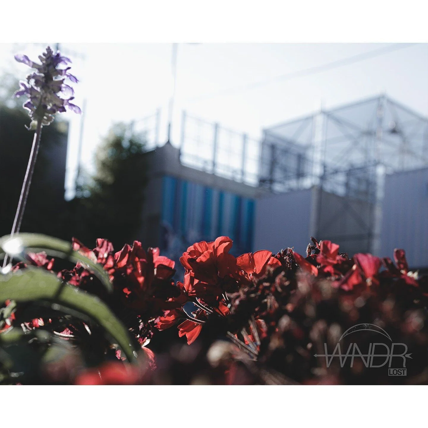 Like street lamps, we glow so dim.