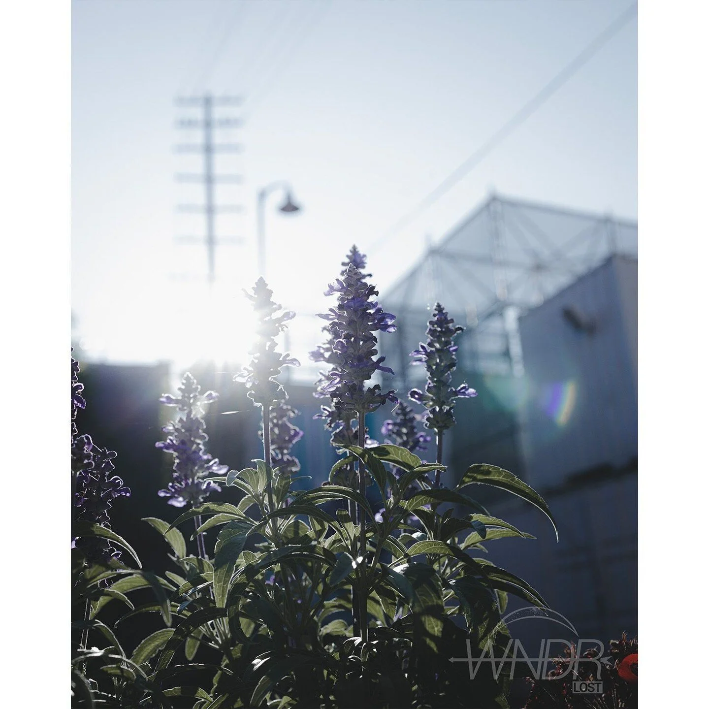 I tried to settle bets with my own soul