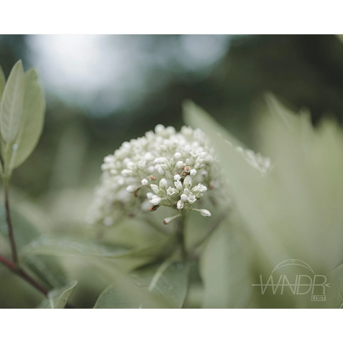 Hope is all we have to be the last one standing.