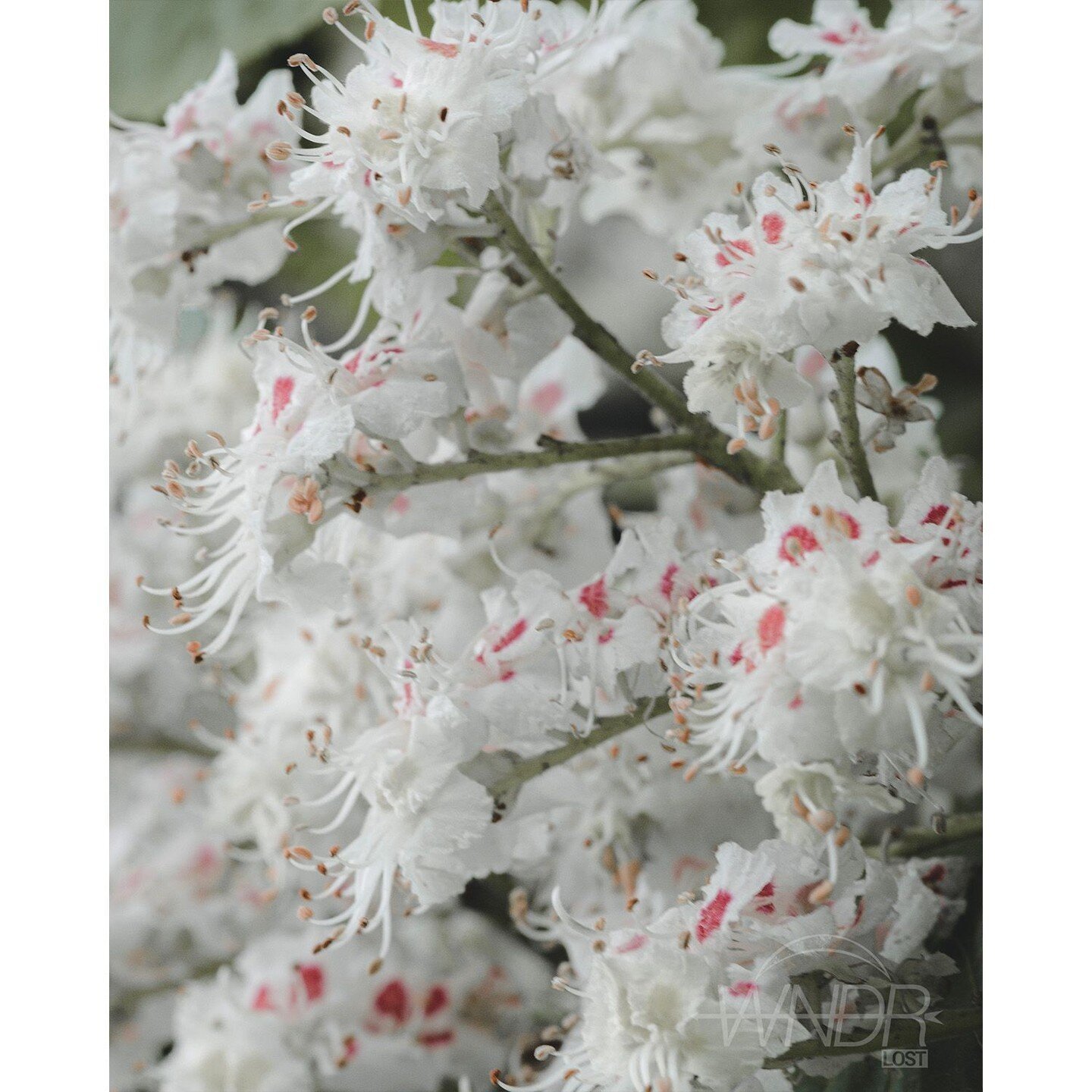 It was a whisper in my ears, and then the wind in the trees&hellip;