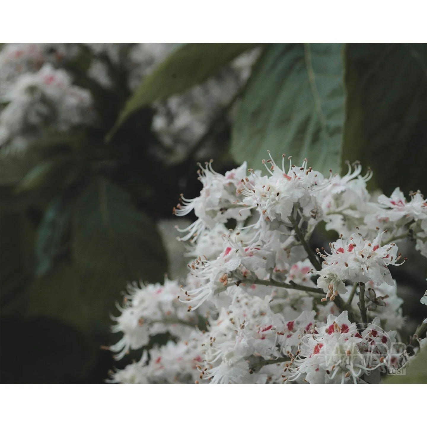 I remain the peaceful day you let in