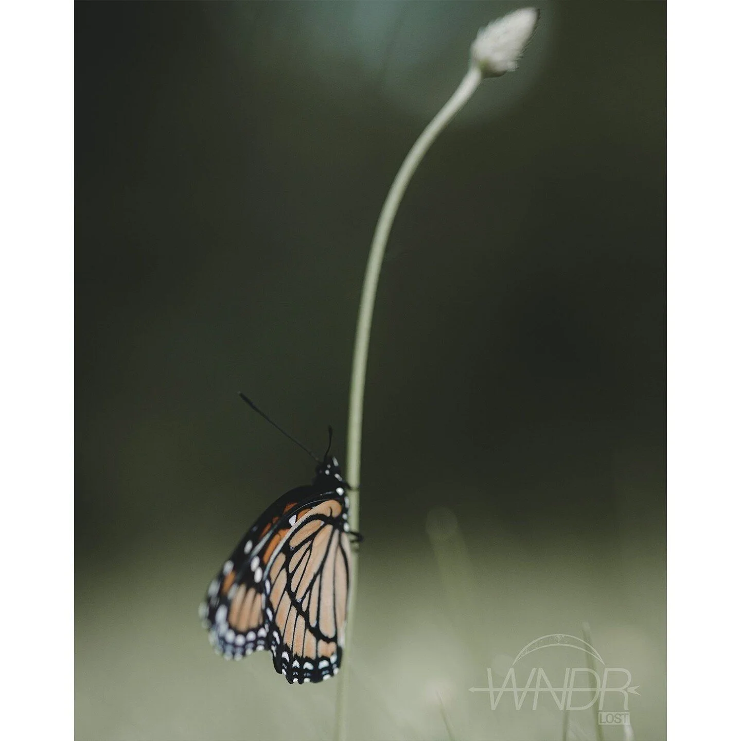 Home is a coffin, and your city is a grave.