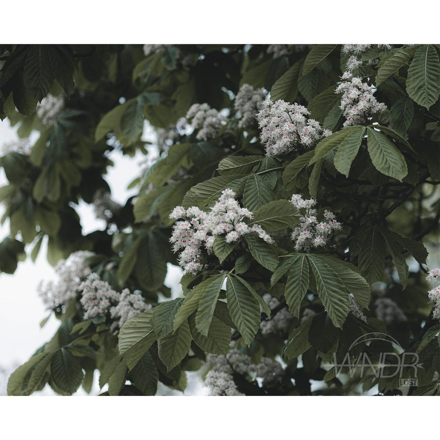 Set your feet to paths for you to wander and never feel alone. Questioning the option to surrender, embracing the unknown on your own.