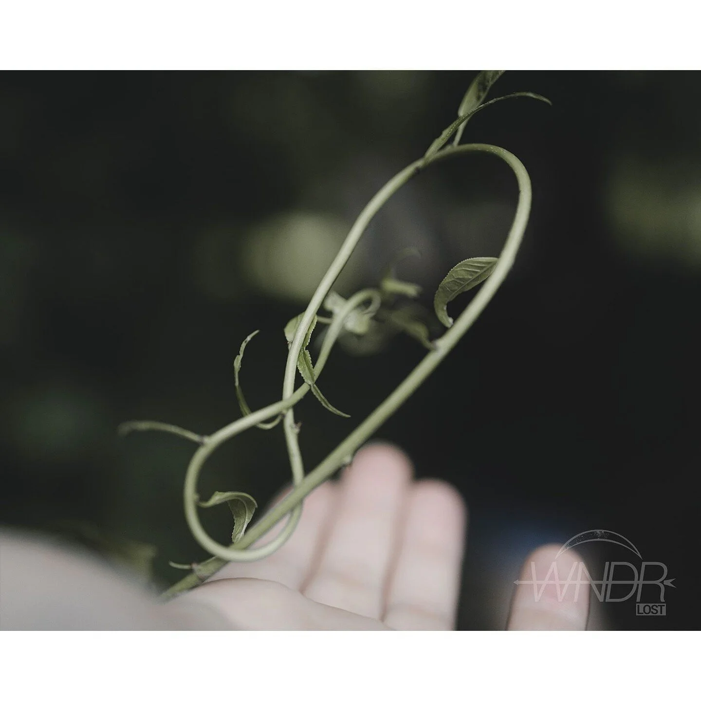 I once knew that everything around me kept for you